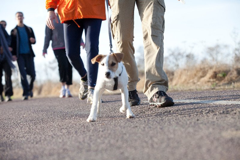 Rando Entre Deux O 2011-2987.jpg